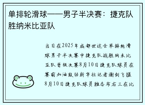 单排轮滑球——男子半决赛：捷克队胜纳米比亚队